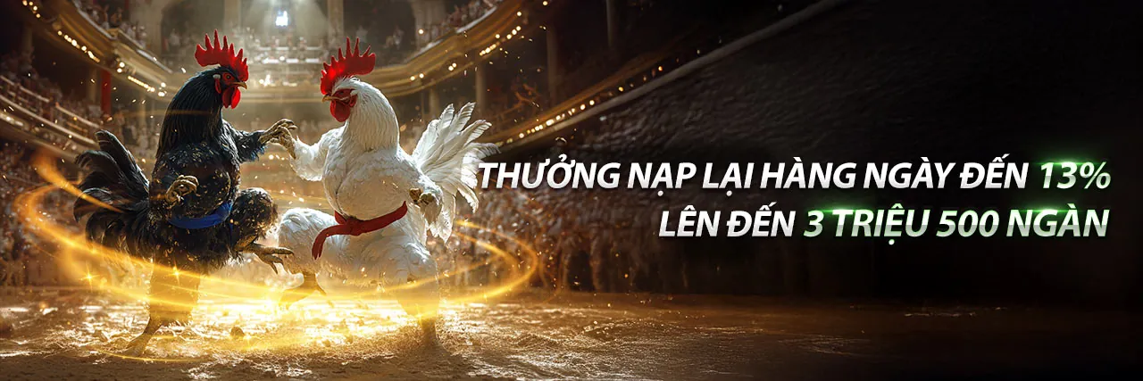 Đá gà trực tiếp Thomo ngày nay tại JN88
